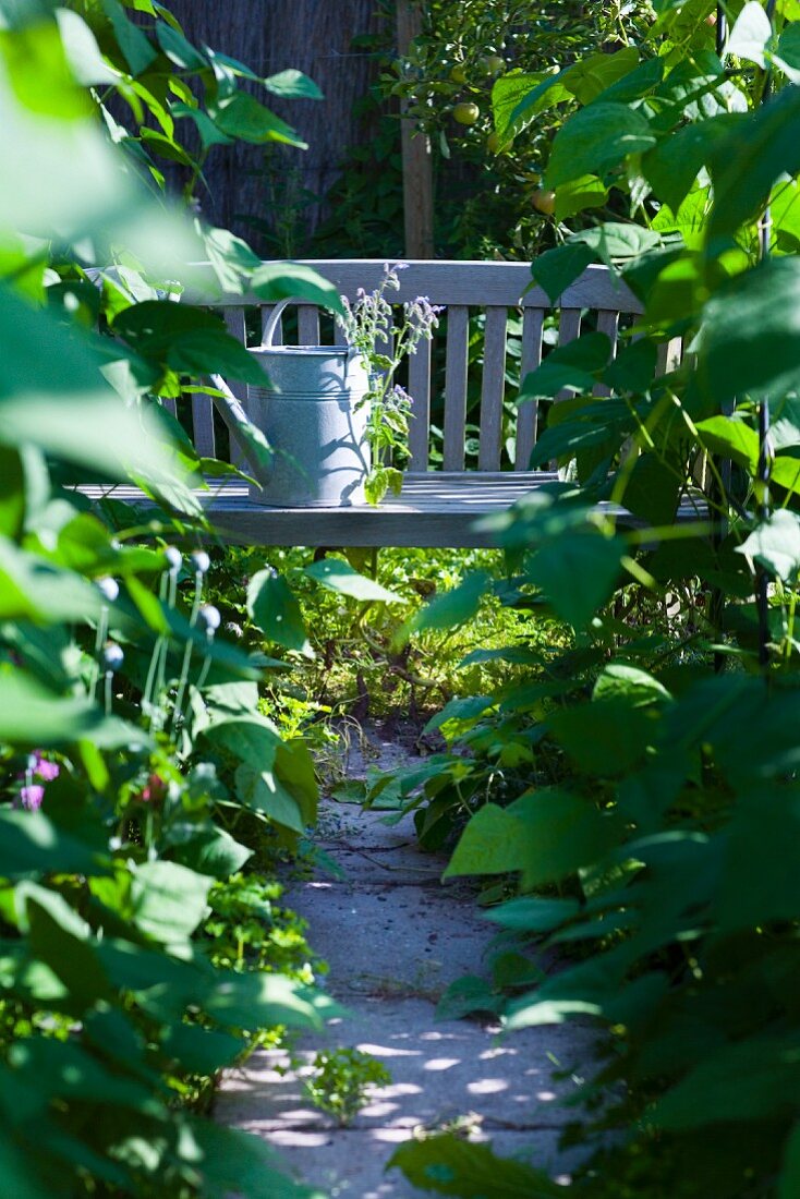 View of bench through leaves