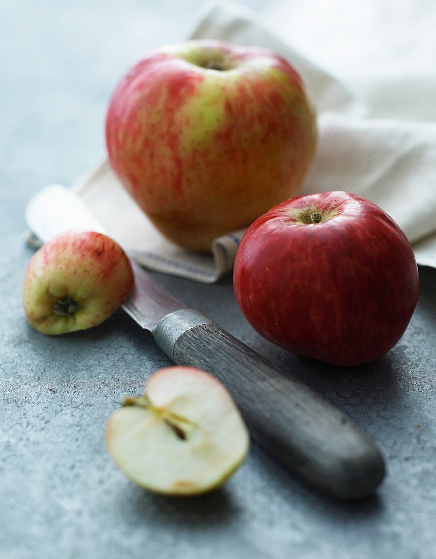 Stillleben mit Äpfeln & Messer
