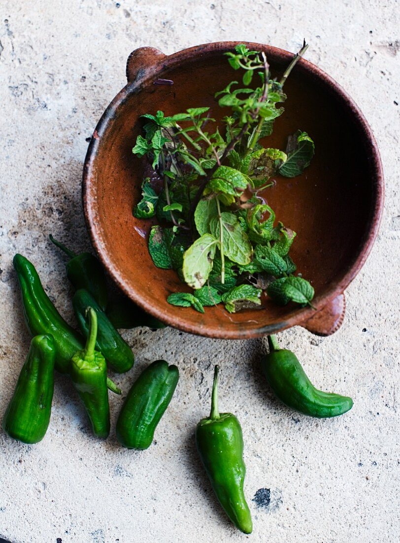 Mint and green chilli peppers