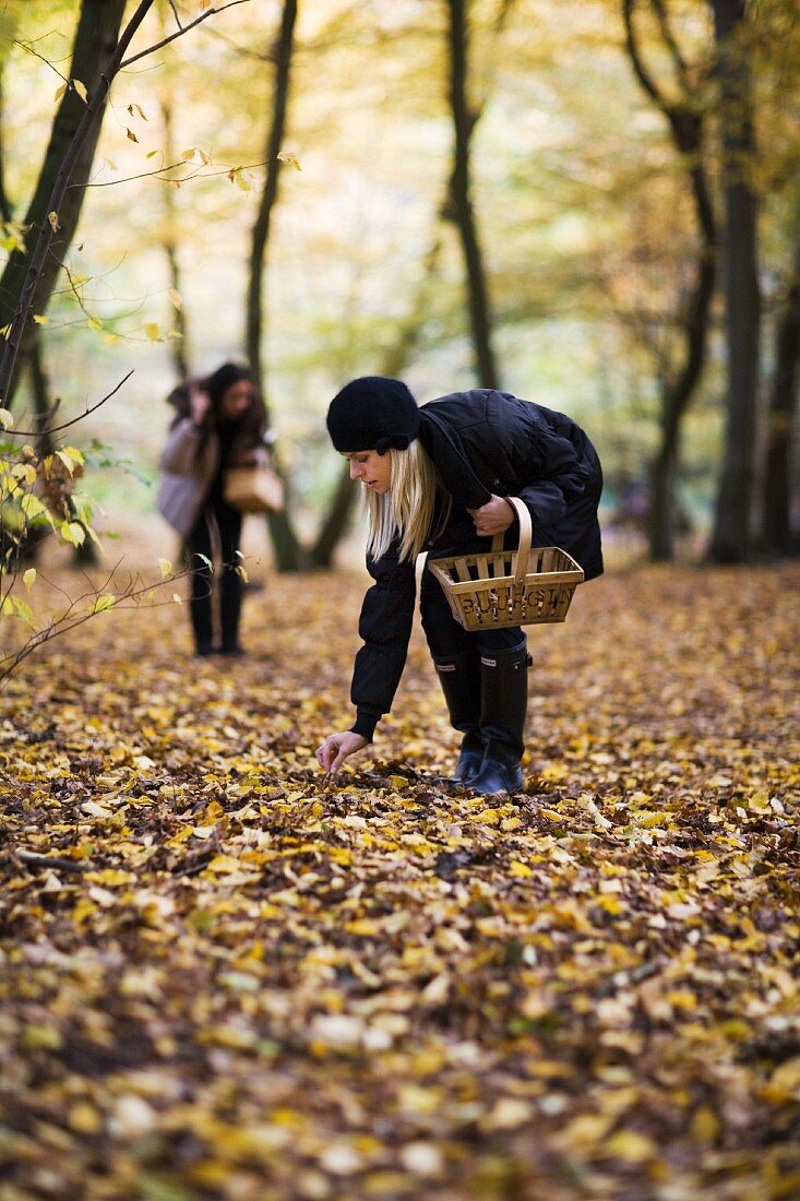 Zwei Frauen sammeln Pilze im herbstlichen Wald