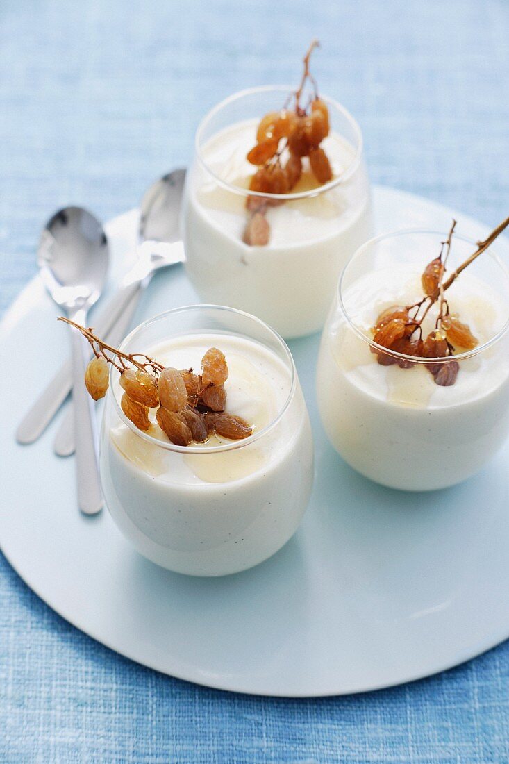 Griechische Joghurt-Honig-Mousse mit Sultaninen