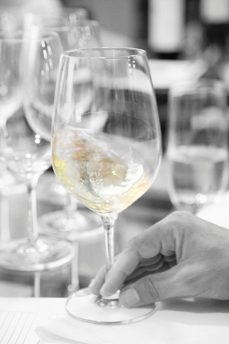 Weißwein bei der Weinprobe