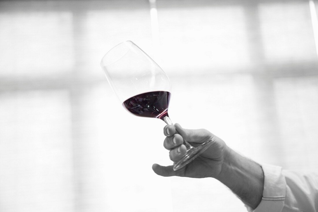 Hand hält Rotweinglas bei der Weinprobe