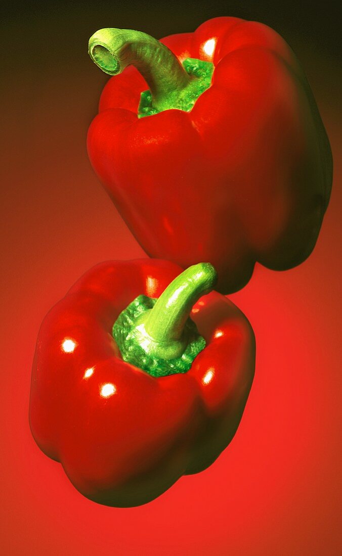 Zwei rote Paprika vor rotem Hintergrund