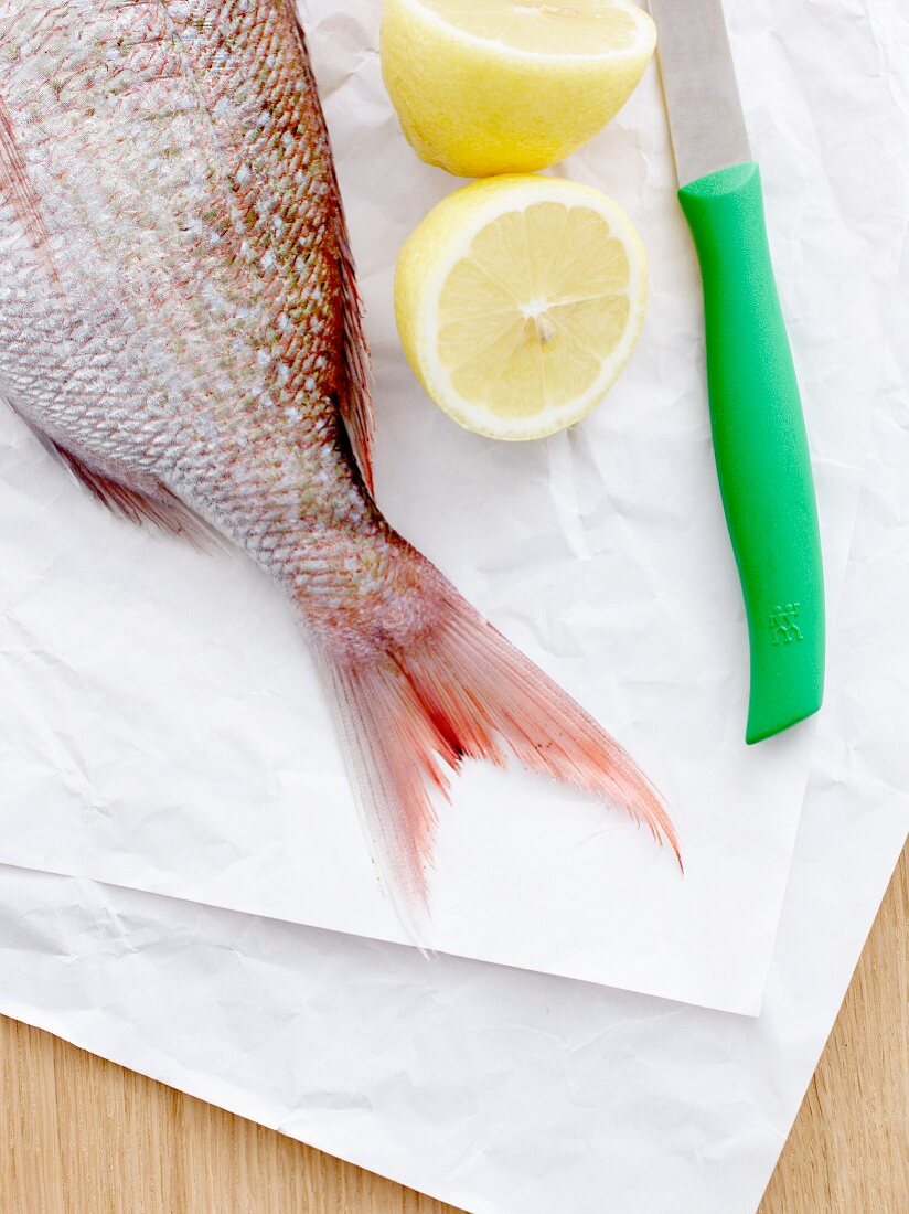 Schwanzflosse vom Fisch mit Zitrone und Messer auf Papier