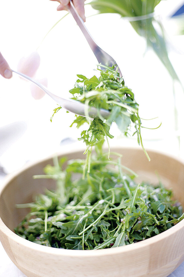 Rocket salad