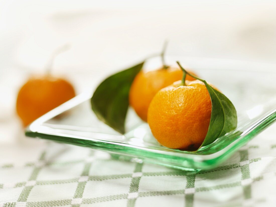 Tangerinen mit Stiel und Blättern auf Glasteller