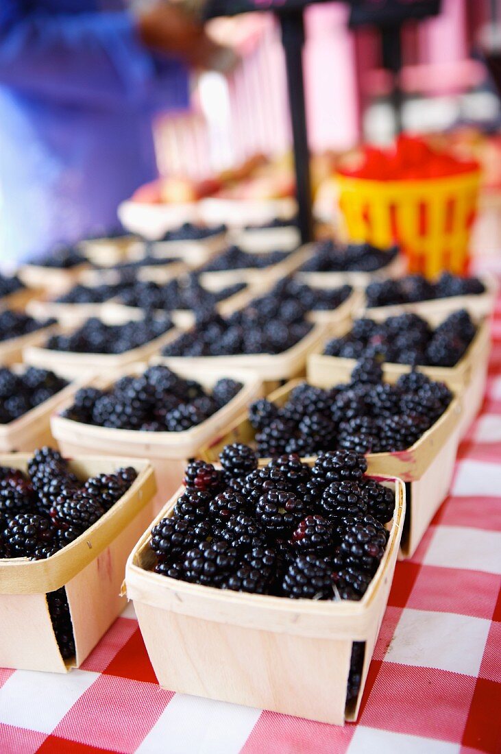Small Baskets of Blackberries at a Farmers Market