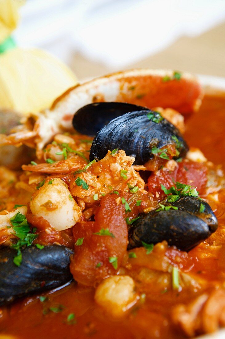 Cioppino; Italian-American Fish Stew;Close Up