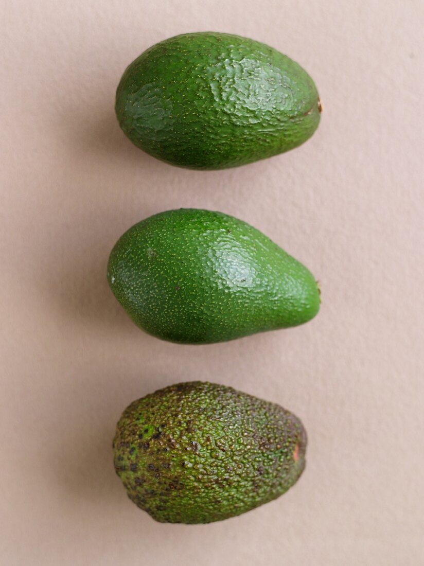Drei verschiedene Avocados