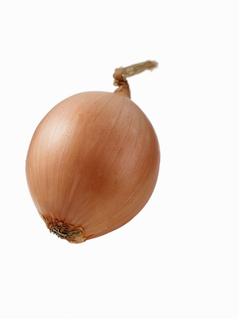 A brown onion