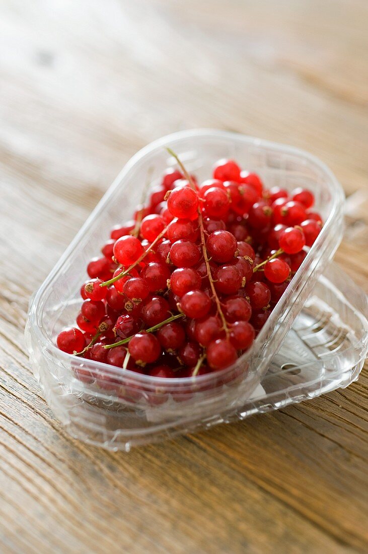 Rote Johannisbeeren in Plastikschale