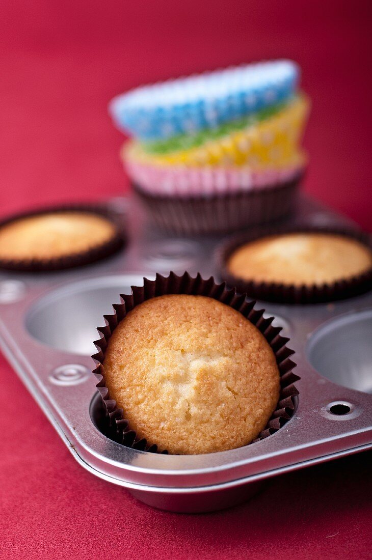 Vanilla cupcakes in a muffin tin