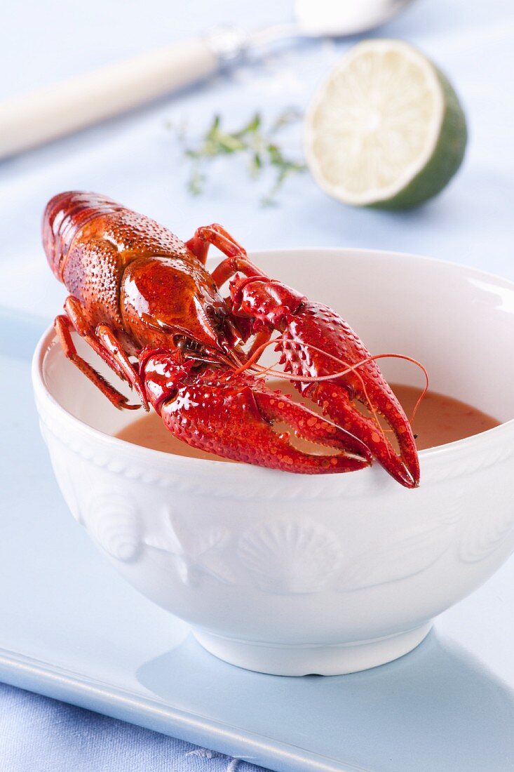 Crayfish soup