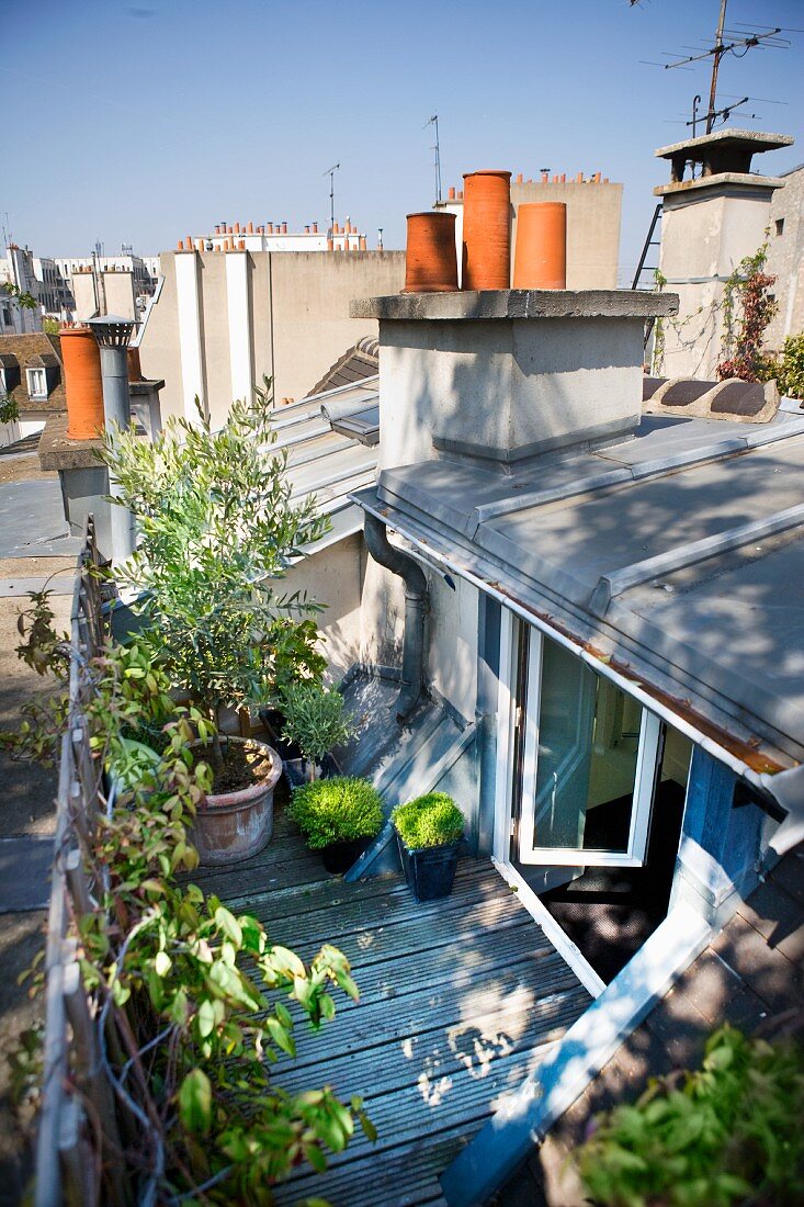 Blick auf moderne Dachterrasse mit Pflanzentöpfen vor offen stehenden Wohnraumtüren