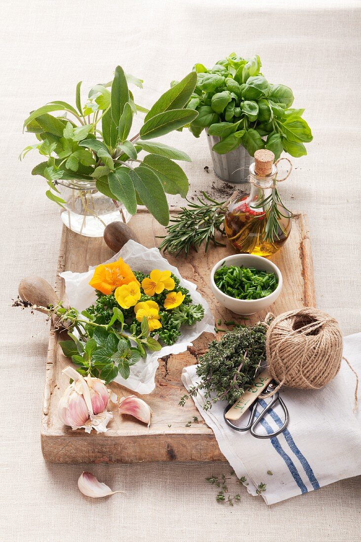 An arrangement of fresh herbs and herb oil