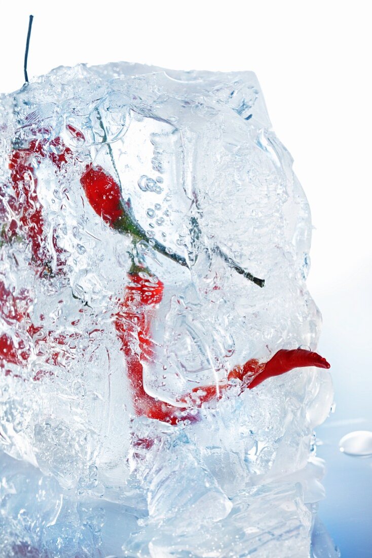 Chilischoten im Eisblock (Close Up)
