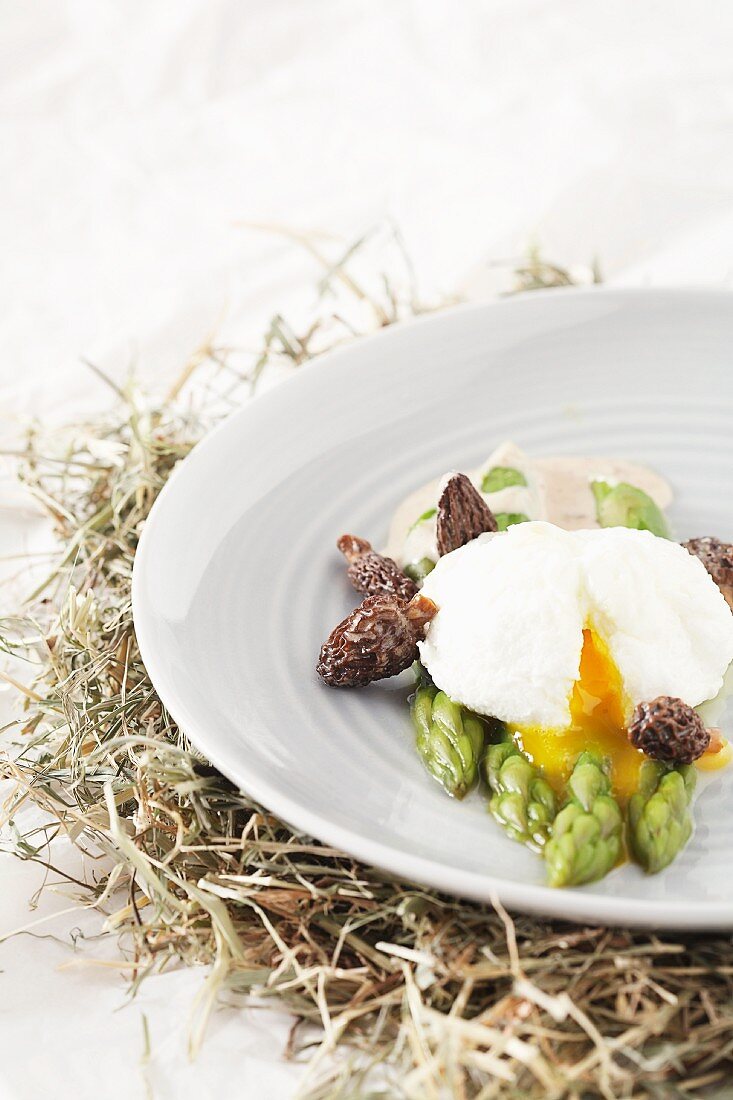 Poached egg with asparagus and morels