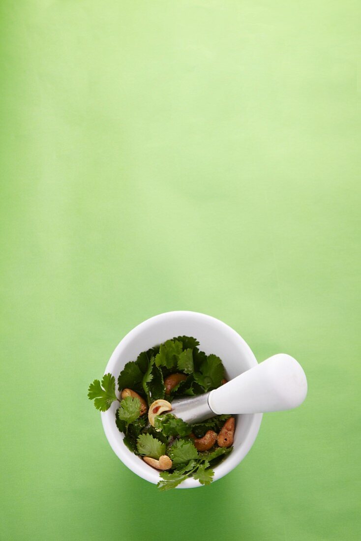Pesto mit Koriandergrün (Japan)