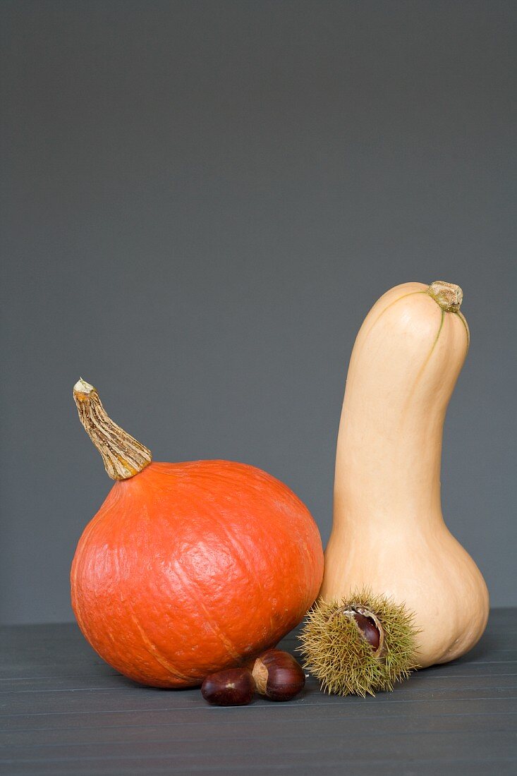 A pumpkin, a squash and chestnuts