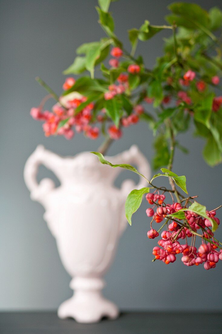 Branch of spindle in a vase with handles