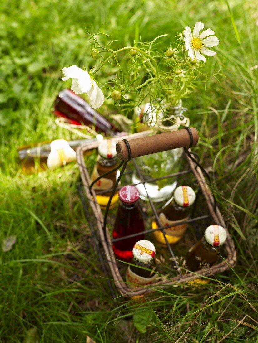 Italian herbal lemonade in a wire bottle basket on the grass