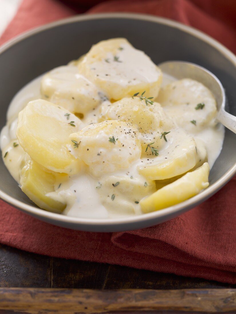 Scalloped Potatoes (Käse-Kartoffeln, USA)