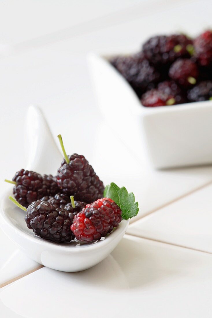 Fresh Mulberries in a White Ceramic Spoon and Bowl
