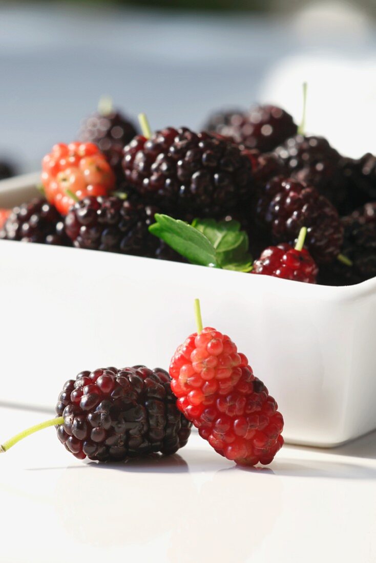 Red and Black Mulberries; In and Beside a Bowl