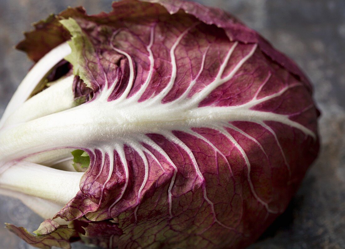 A head of radicchio