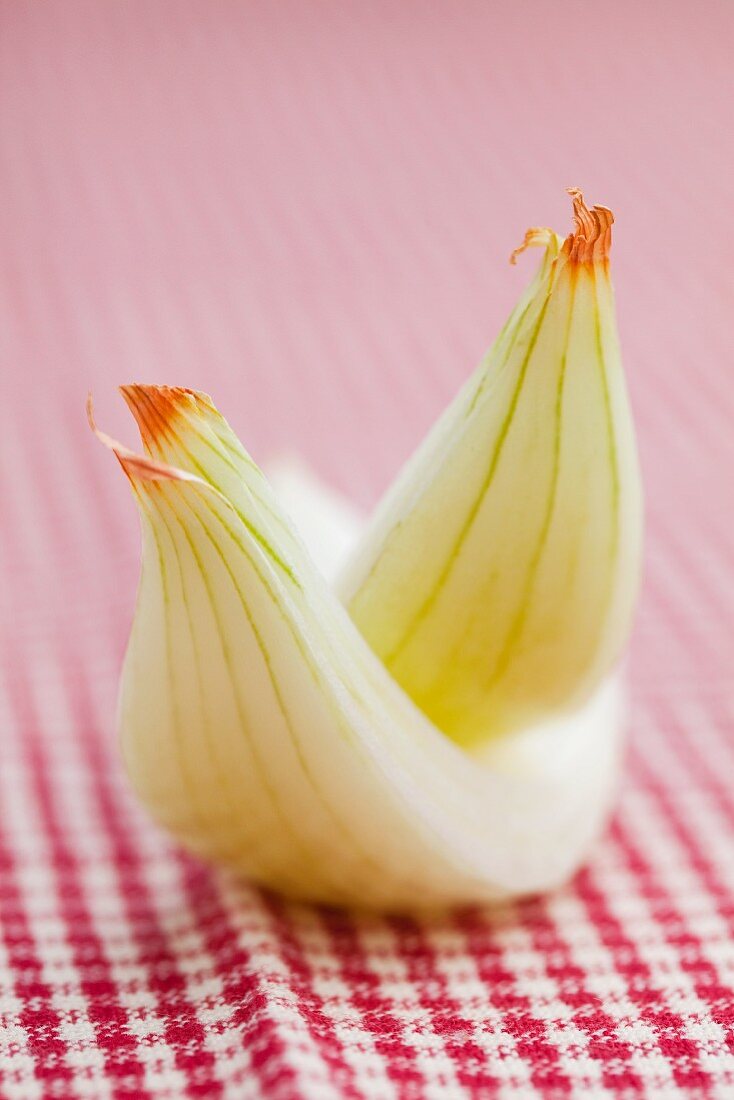 A peeled onion