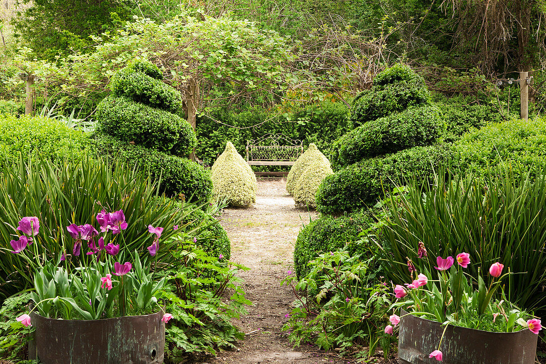 Flowers and topiary bushes in well-tended gardens