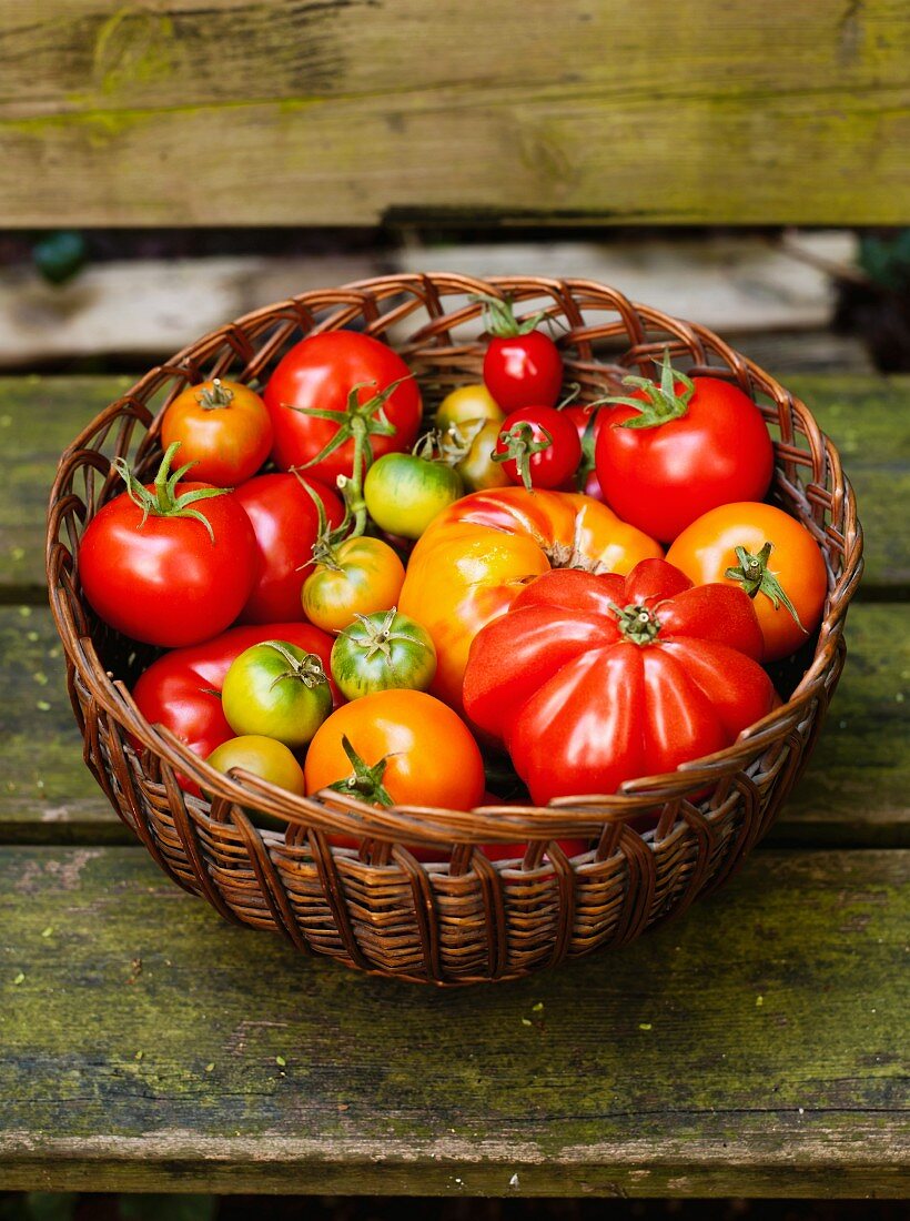 A basket of various tomatoes