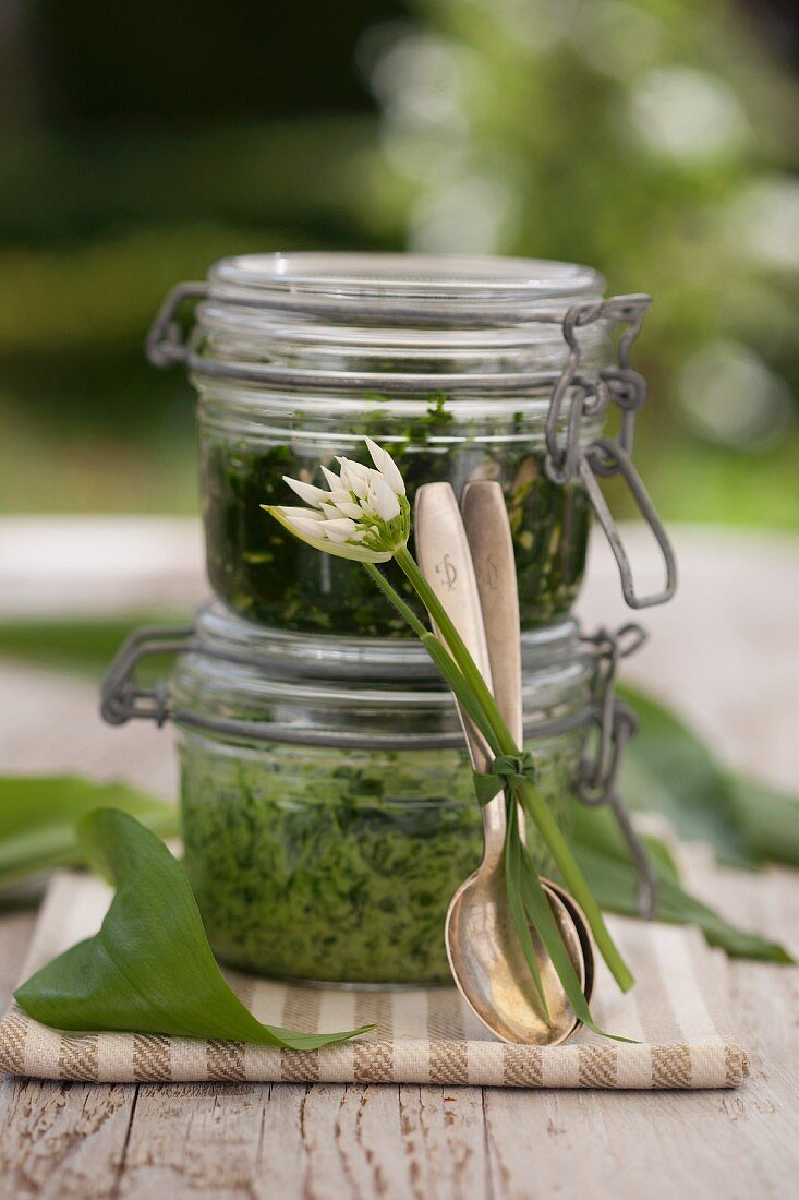 Ramson and stinging nettle pesto with sunflower seeds