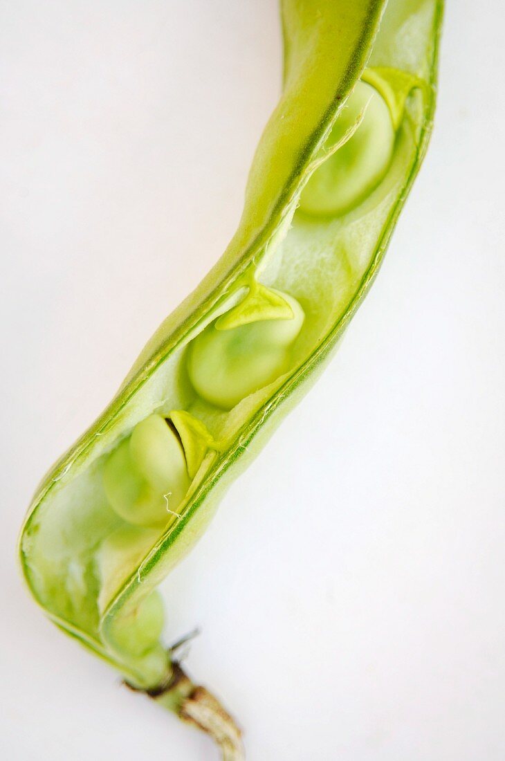 Broad beans