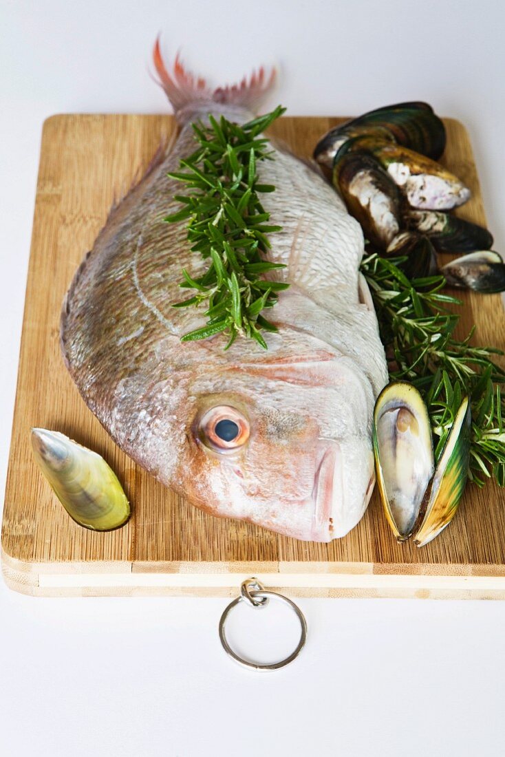 Fresh red snapper and mussels on a chopping board