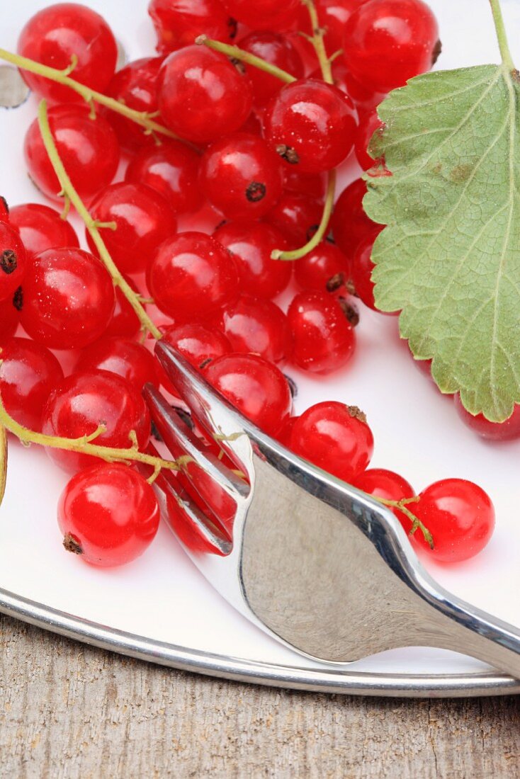 Red currants with a fork (close up)