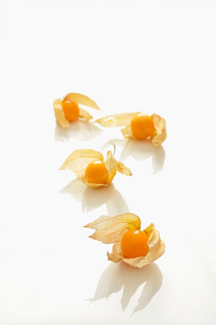 Vier Physalis