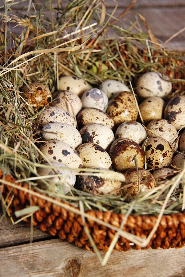 Quail's eggs in a basket