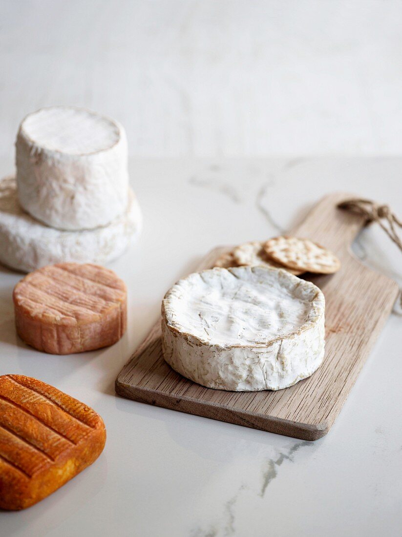 Various types of soft cheese