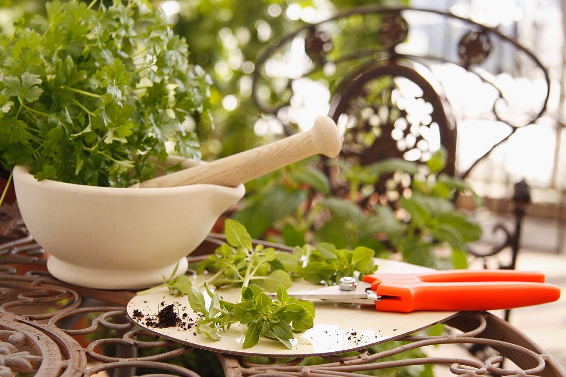 Stillleben mit Kräutern, Mörser und Gartentisch