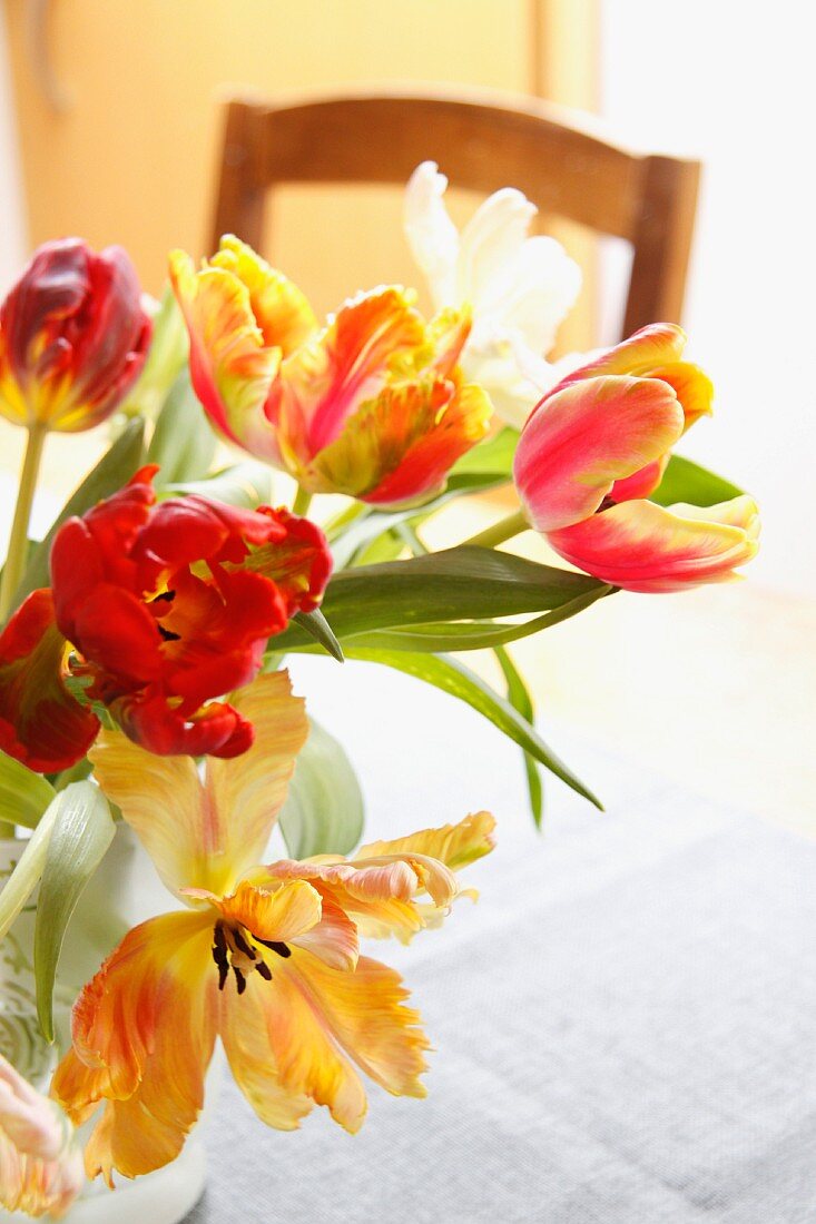 Parrot tulips