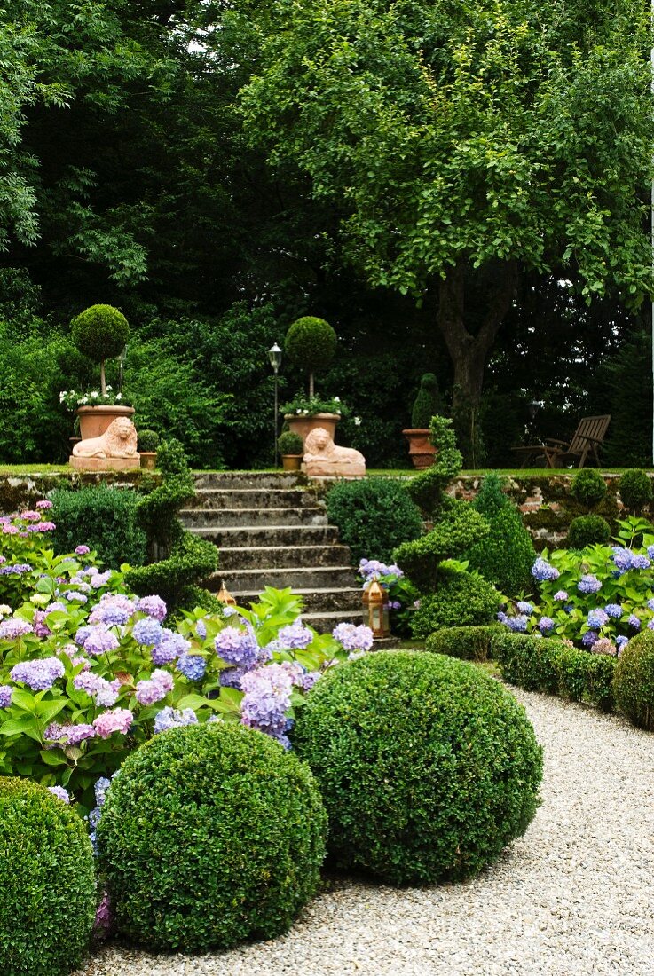 Sommergarten auf zwei Ebenen mit blühenden Hortensien