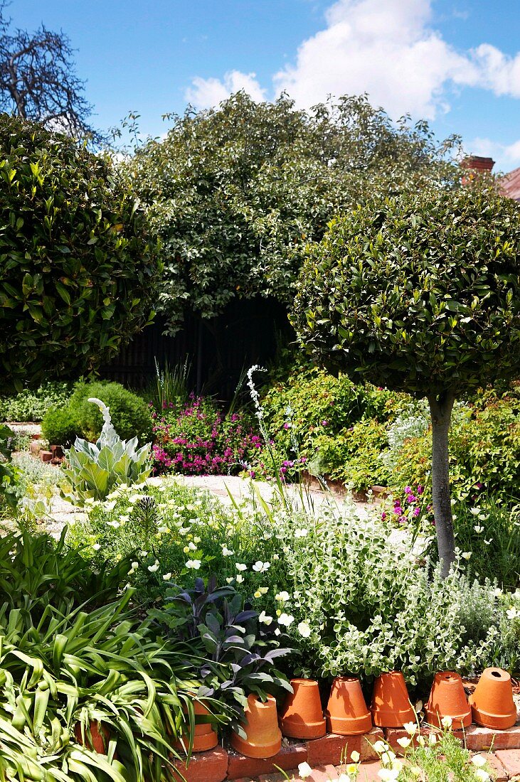 Upturned terracotta plant pots as edging in front of bed of purple sage and white poppies