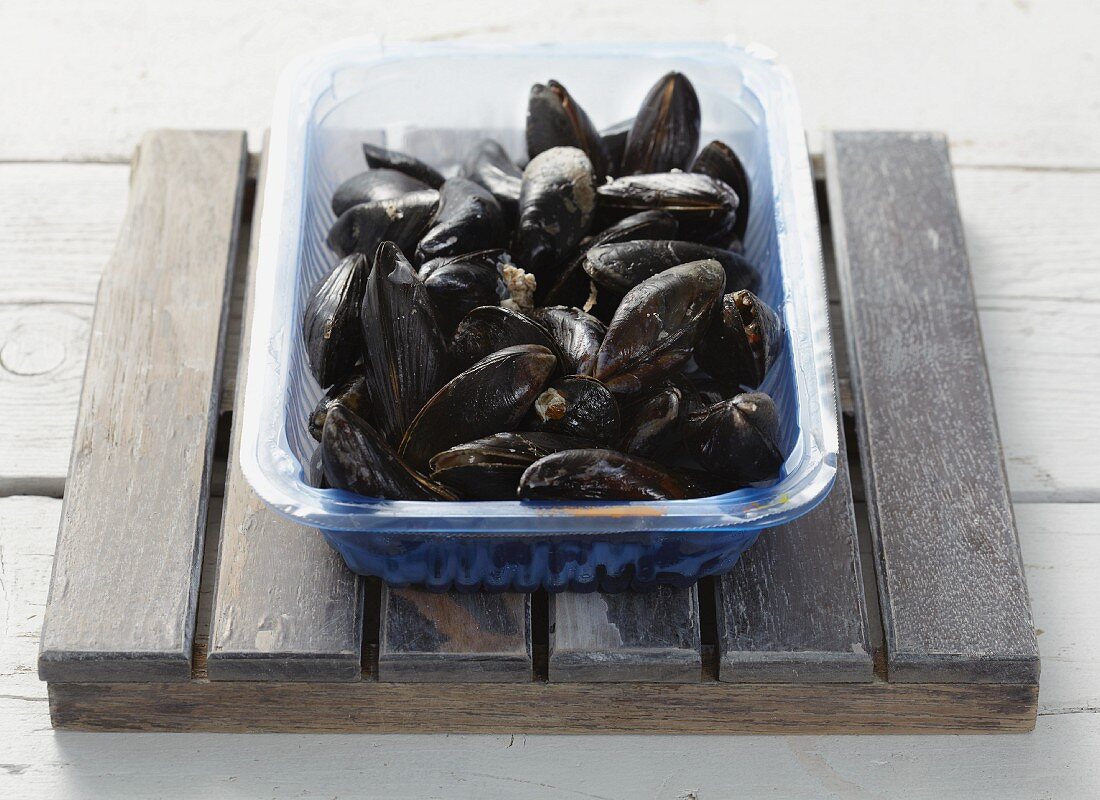 Fresh mussels in a plastic dish