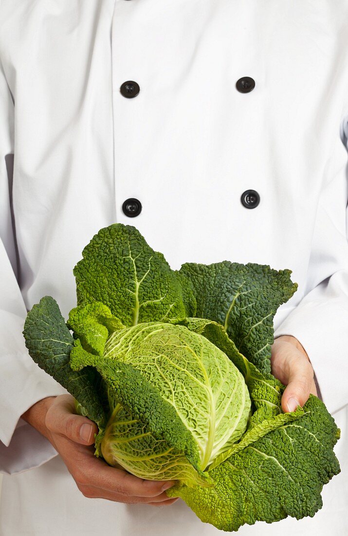 A chef holding a fresh savoy cabbage