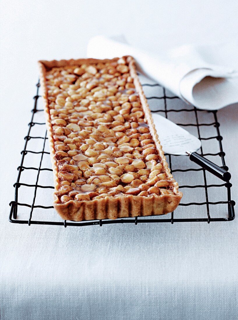 Macadamia nut tart with golden syrup