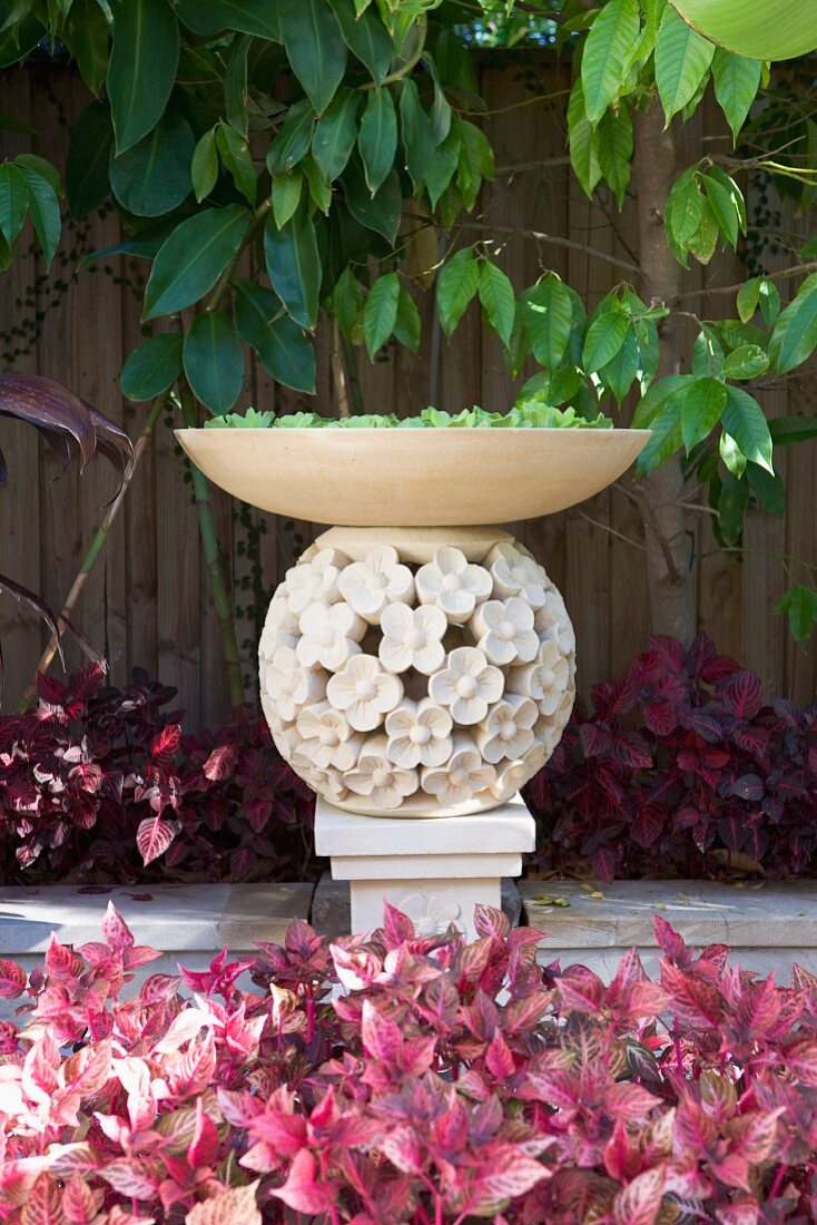 Dish of plants on stone ball and column in front of climber-covered garden fence