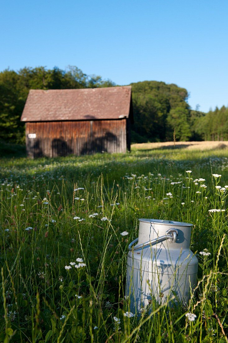 A milk churn in a field