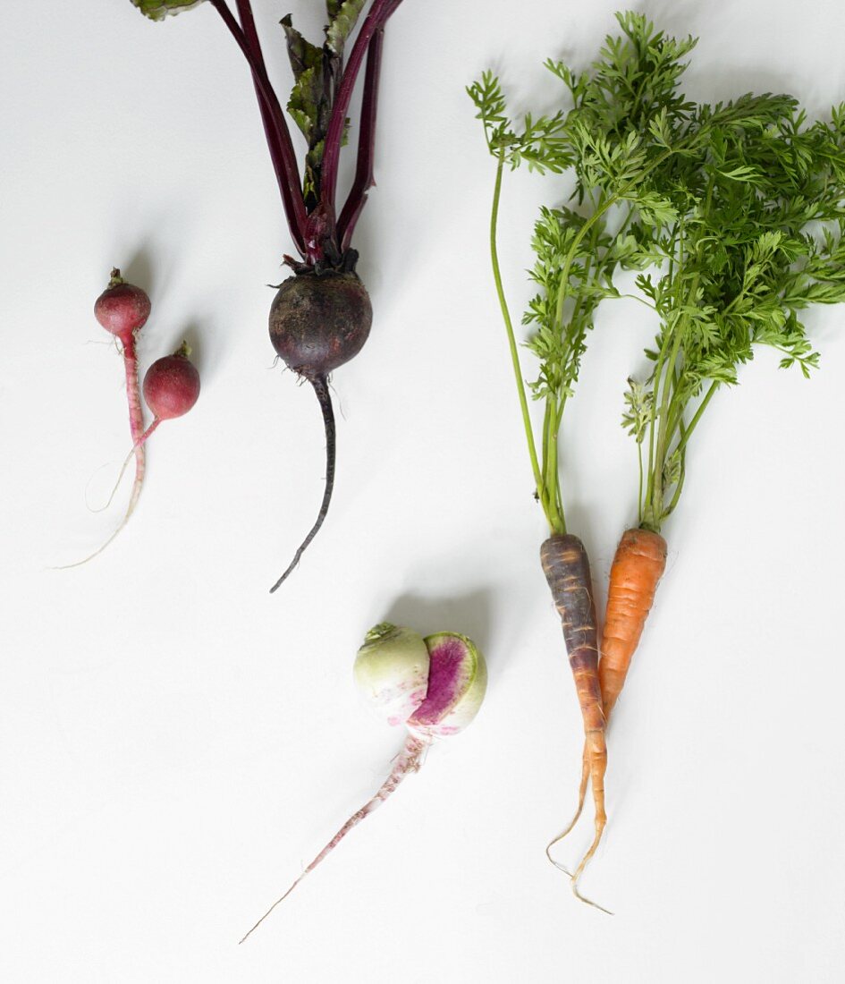 Fresh Root Vegetables on a White Background